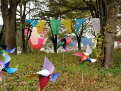 八色の森市民まつり　美術館は入館無料！