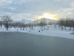 本年もご愛顧のほどお願い致します。