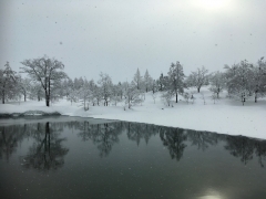 池の雪が消えてしまう！？