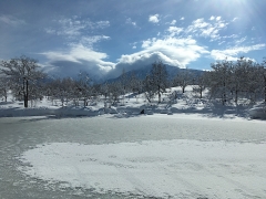 久しぶりの、お日様です！