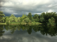 梅雨入り前の八色の森公園