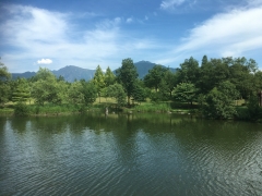 まるで真夏のようです。