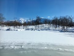 心がウキウキする冬景色です。