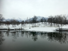 ようやく池の水がゆるんできました。
