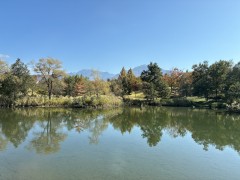 本日「小泉セツ資料展」始まりました。