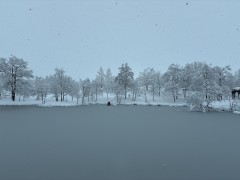 本年もよろしくお願いいたします。