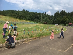 「風ぐるま3,000本」と「草むらオバケ迷路」